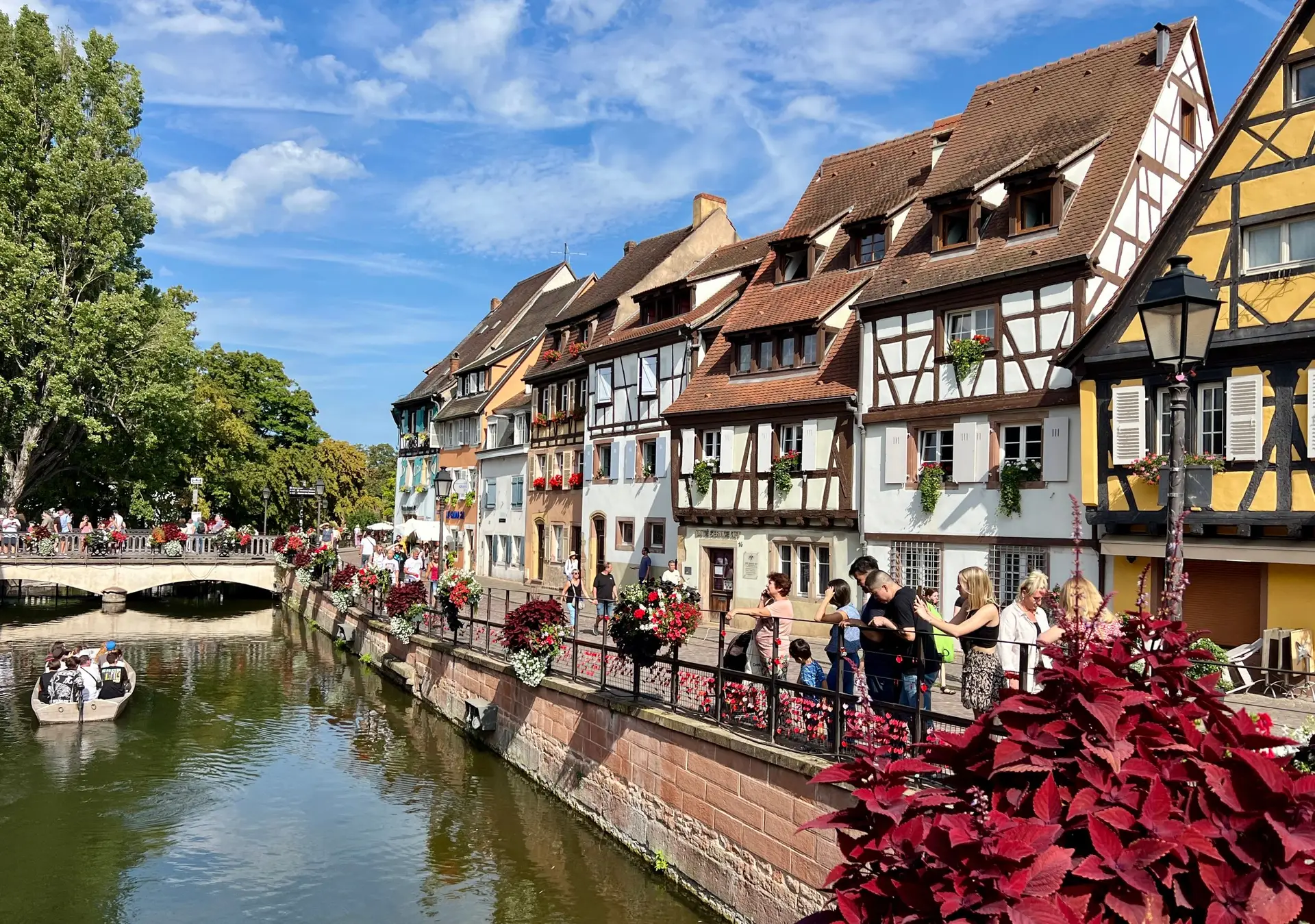 Genussradeln im Elsass! 
