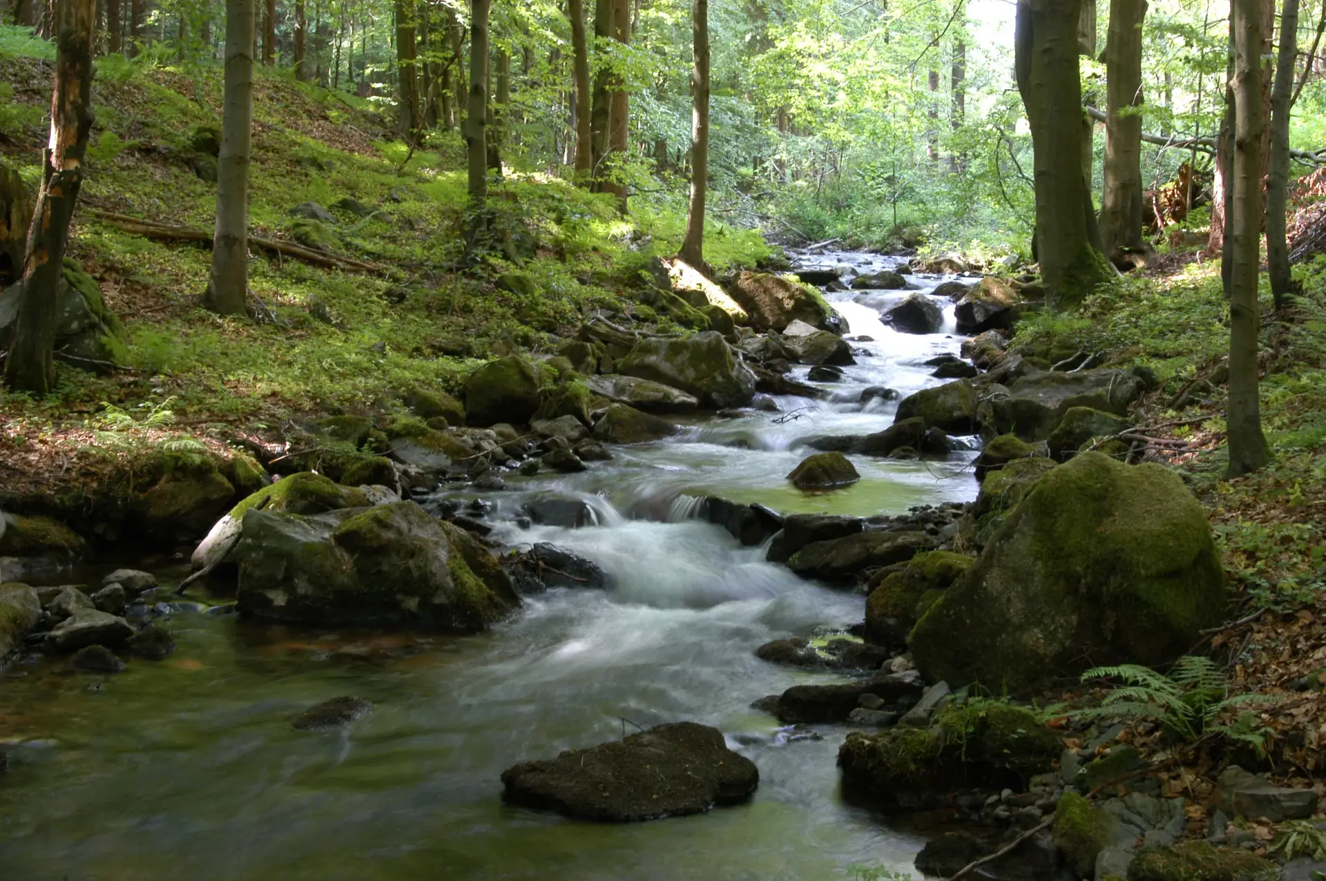 Wandertag Heyda & Vessertal