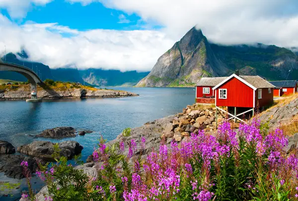 Single-Kreuzfahrt in die Fjordwelt Norwegens Impression 7