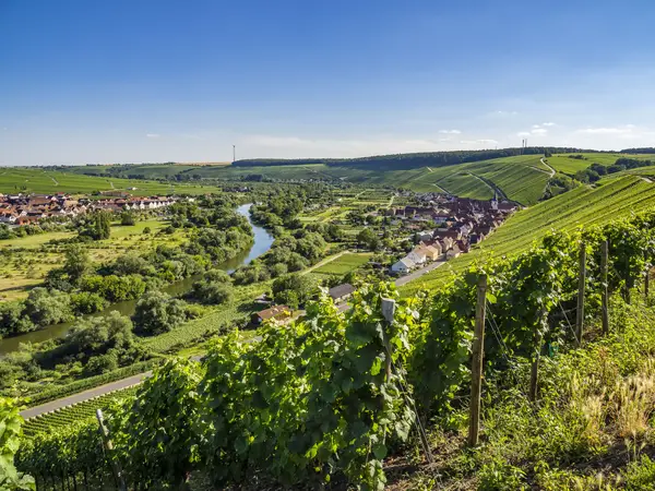 Fränkisches Weinland Impression 1