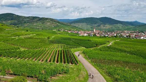 Genussradeln im Elsass! Impression 2