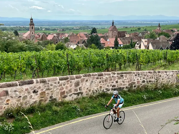 Genussradeln im Elsass! Impression 12