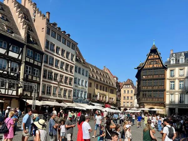 Genussradeln im Elsass! Impression 9