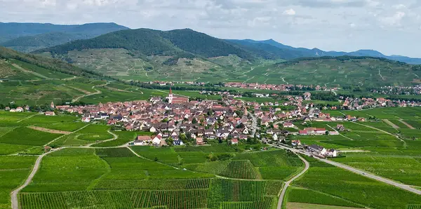 Genussradeln im Elsass! Impression 13