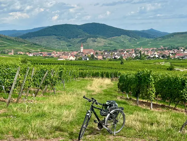 Genussradeln im Elsass! Impression 1