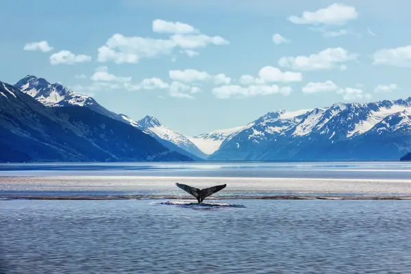 Abenteuer Alaska & Badeverlängerung auf Hawaii Impression 3