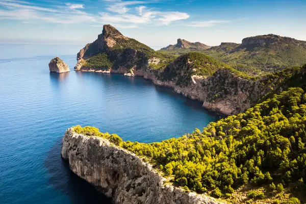 Frühlingserwachen zur Mandelblüte auf Mallorca Impression 4