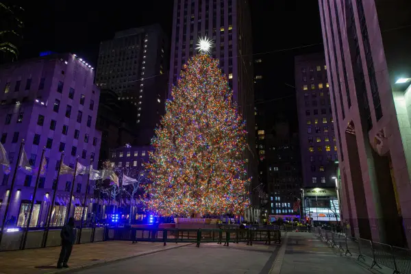 Christmas Shopping New York Impression 10
