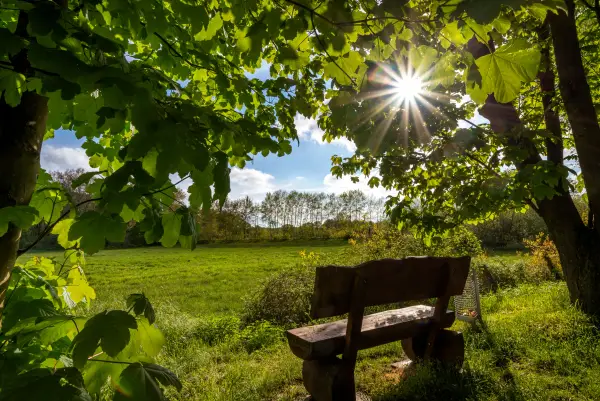 Sternradeln im Emsland Impression 2