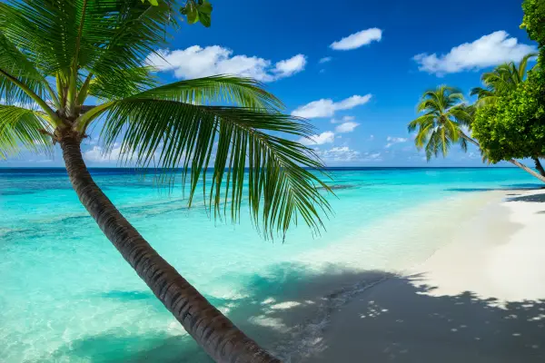 Zauberhaftes Neuseeland & Badeverlängerung paradiesische Südsee Impression 10
