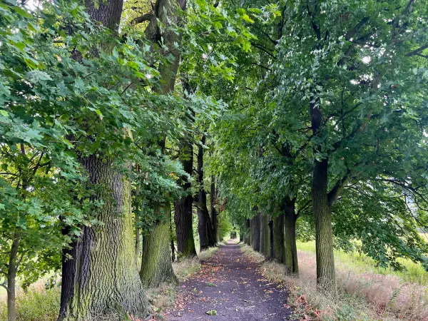 Die Höhepunkte Niederschlesiens Impression 6