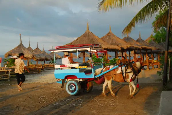 Indonesien - von Bali zu den Walhaien Impression 2