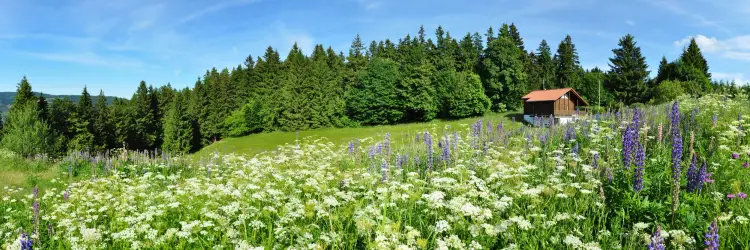 Wandertag Heyda & Vessertal Impression 1